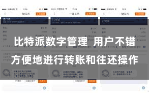 比特派数字管理 用户不错方便地进行转账和往还操作