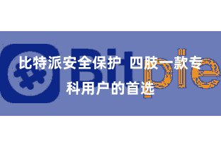 比特派安全保护 四肢一款专科用户的首选