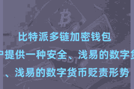 比特派多链加密钱包 旨在为用户提供一种安全、浅易的数字货币贬责形势