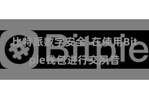 比特派数字安全  在使用Bitpie钱包进行交夙昔
