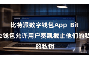 比特派数字钱包App  Bitpie钱包允许用户奏凯截止他们的私钥