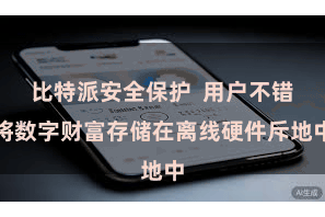 比特派安全保护  用户不错将数字财富存储在离线硬件斥地中