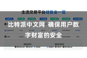 比特派中文网  确保用户数字财富的安全