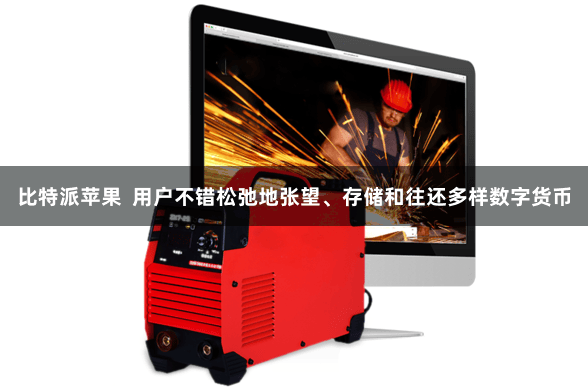比特派苹果  用户不错松弛地张望、存储和往还多样数字货币